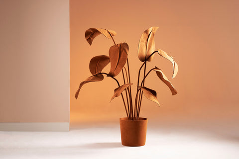 Brazilian flora through a sophisticated, modern lens; Snake Plant Medium Blue; ALO10-TER