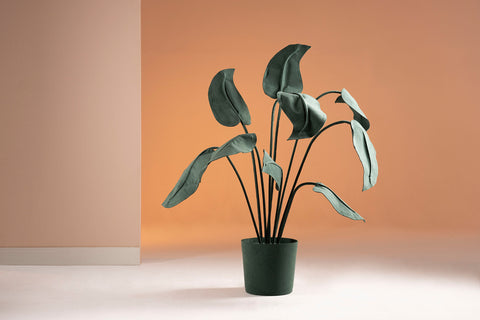 Brazilian flora through a sophisticated, modern lens; Snake Plant Medium Blue; ALO10-VER