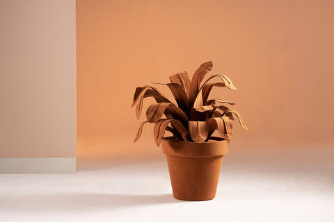 Brazilian flora through a sophisticated, modern lens; Snake Plant Medium Blue; BRM10-TER