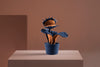 Brazilian flora through a sophisticated, modern lens; Snake Plant Medium Blue; CAR1-AZU