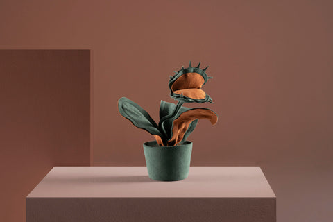 Brazilian flora through a sophisticated, modern lens; Snake Plant Medium Blue; CAR1-VER