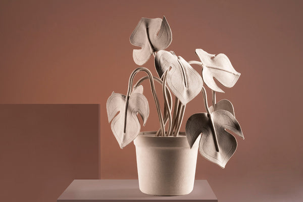 Brazilian flora through a sophisticated, modern lens; Snake Plant Medium Blue; COT5-FEN