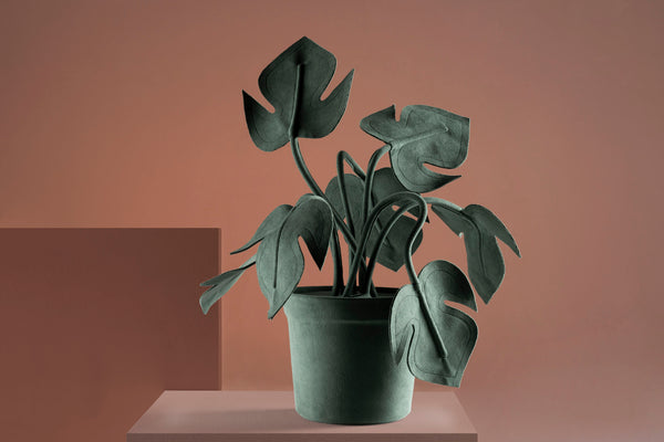 Brazilian flora through a sophisticated, modern lens; Snake Plant Medium Blue; COT5-VER