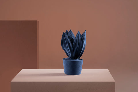 Brazilian flora through a sophisticated, modern lens; Snake Plant Mini Fendi; ESP1-AZU