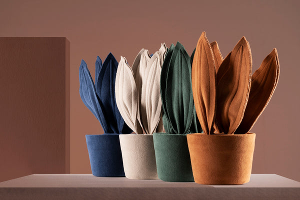 Brazilian flora through a sophisticated, modern lens; Snake Plant Mini Fendi; ESP1-MAR