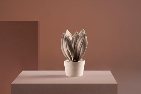 Brazilian flora through a sophisticated, modern lens; Snake Plant Mini Fendi; ESP1-FEN
