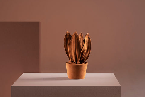 Brazilian flora through a sophisticated, modern lens; Snake Plant Mini Fendi; ESP1-TER
