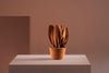 Brazilian flora through a sophisticated, modern lens; Snake Plant Mini Fendi; ESP1-TER