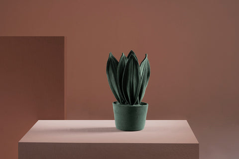Brazilian flora through a sophisticated, modern lens; Snake Plant Mini Fendi; ESP1-VER