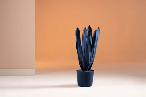 Brazilian flora through a sophisticated, modern lens; Snake Plant Medium Blue; ESP8-AZU