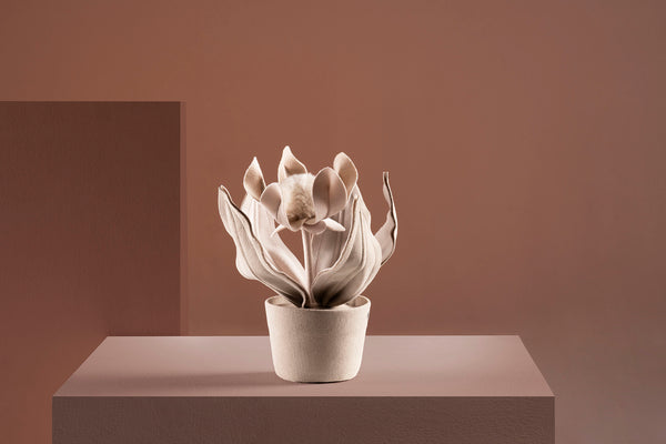Brazilian flora through a sophisticated, modern lens; Snake Plant Medium Blue; PRT1-FEN