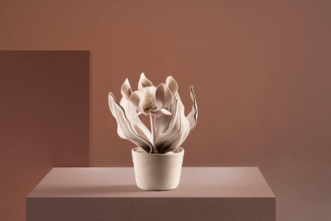 Brazilian flora through a sophisticated, modern lens; Snake Plant Medium Blue; PRT1-FEN