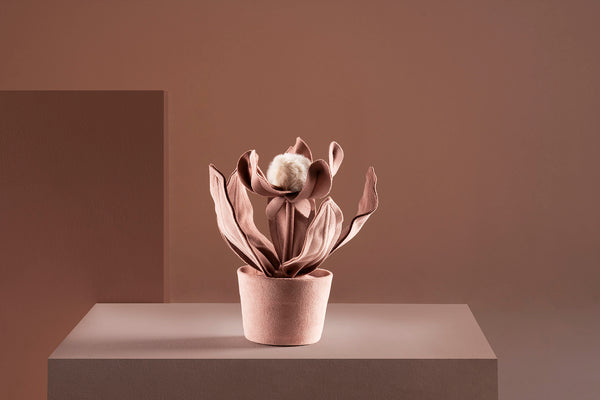 Brazilian flora through a sophisticated, modern lens; Snake Plant Medium Blue; PRT1-ROS