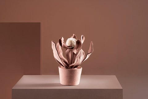 Brazilian flora through a sophisticated, modern lens; Snake Plant Medium Blue; PRT1-ROS
