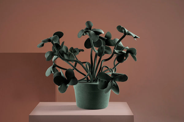 Brazilian flora through a sophisticated, modern lens; Snake Plant Medium Blue; TRV5-VER