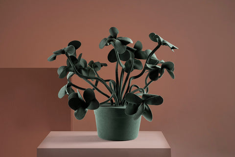Brazilian flora through a sophisticated, modern lens; Snake Plant Medium Blue; TRV5-VER